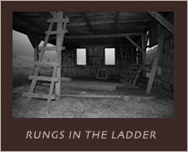Rungs In The Ladder